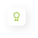 new mer icon 5